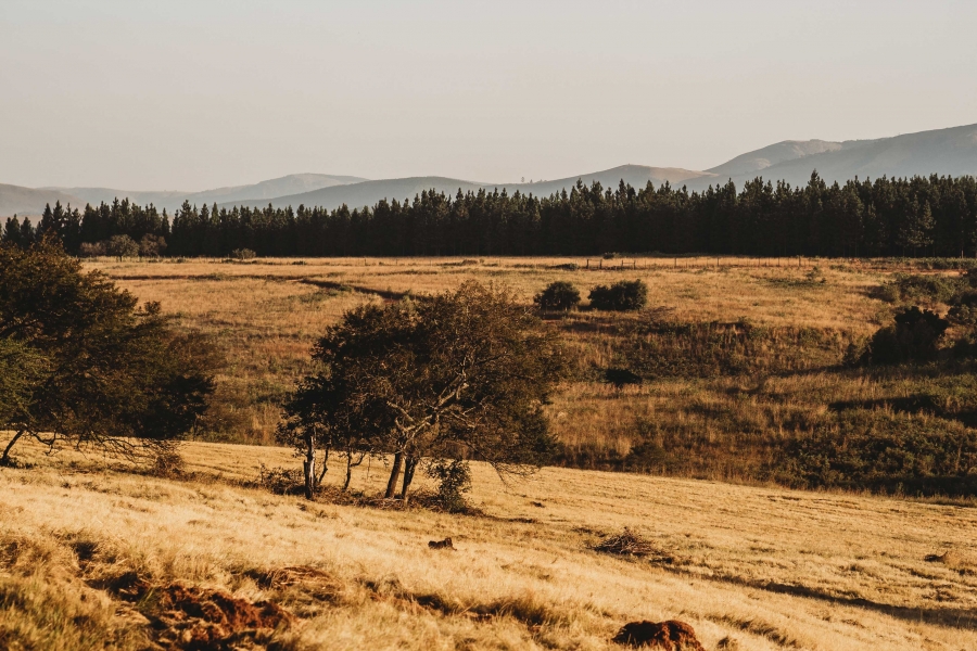 FIH Fotografie » Zuid Afrika